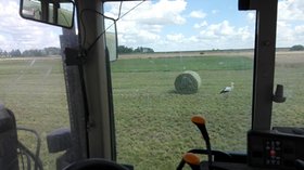 Najładniejsze zdjęcie użytkownika KrasnowskiP - 