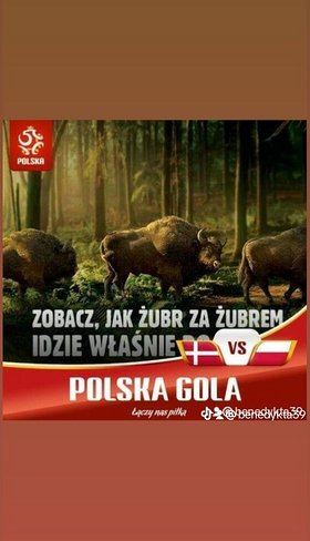 Najładniejsze zdjęcie użytkownika Rafal4545 - 