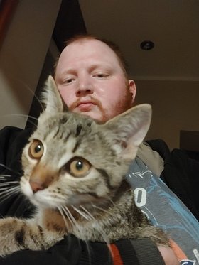 Najładniejsze zdjęcie użytkownika GrzegorzKotecki - 