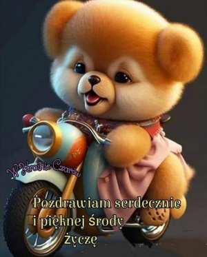 toy