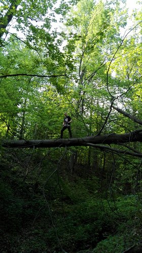 Najładniejsze zdjęcie użytkownika erykbisaga81