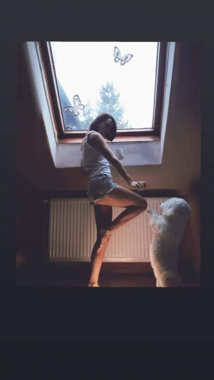 sitting
