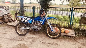 Najładniejsze zdjęcie użytkownika Dawemira10 - 