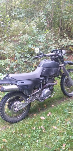 Najładniejsze zdjęcie użytkownika ZbigniewGa - 