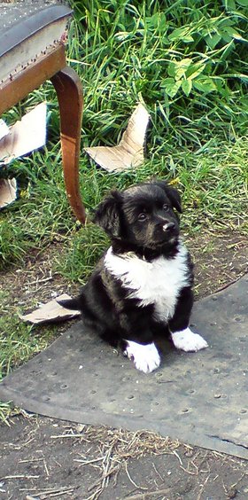 Najładniejsze zdjęcie użytkownika wili81 - 