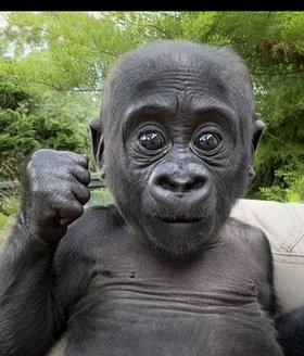 Najładniejsze zdjęcie użytkownika Torca99 - 