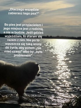 Najładniejsze zdjęcie użytkownika bartezz202020 - 