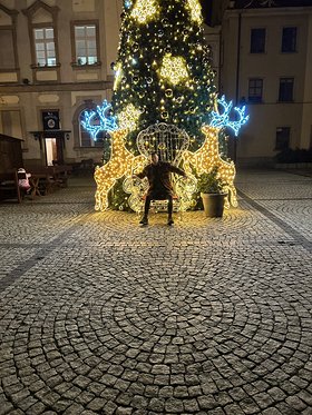 Najładniejsze zdjęcie użytkownika hfrmbjs74r - 