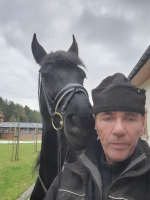 hair, jacket, horse, bridle, rein