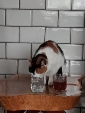 Najładniejsze zdjęcie użytkownika Niesmialy0130 - 