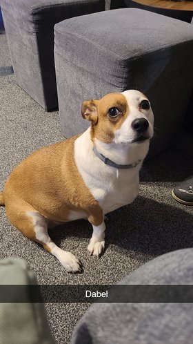 Najładniejsze zdjęcie użytkownika seba396 - 