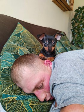 Najładniejsze zdjęcie użytkownika janpodgorski1984 - 