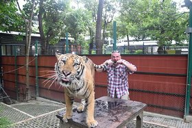 Najładniejsze zdjęcie użytkownika mmadejak - 