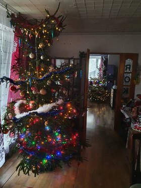 Najładniejsze zdjęcie użytkownika MirekKo - 