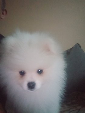 Najładniejsze zdjęcie użytkownika DarekZ24 - 