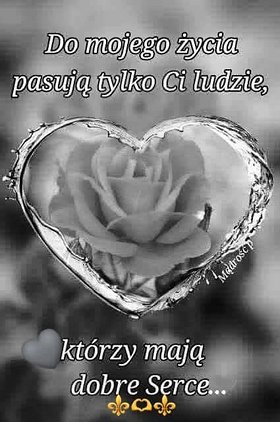 Najładniejsze zdjęcie użytkownika PaniCogito - 