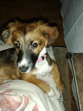 Najładniejsze zdjęcie użytkownika NiuniaAsiunia - 