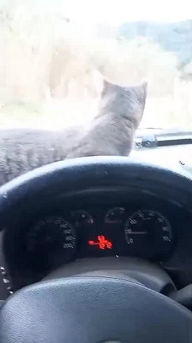 Najładniejsze zdjęcie użytkownika Abdutabak - 