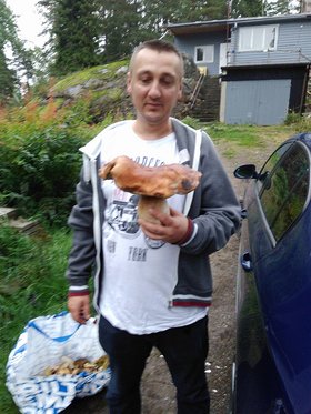 Najładniejsze zdjęcie użytkownika blonskigrzegorz99 - 