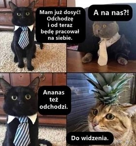 Najładniejsze zdjęcie użytkownika Marek9866 - 