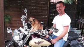 Najładniejsze zdjęcie użytkownika bankowskiandrzej - 