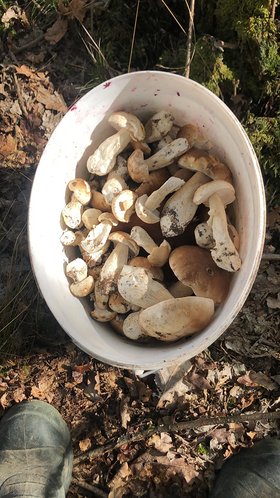 Najładniejsze zdjęcie użytkownika Ryszard1959 - 