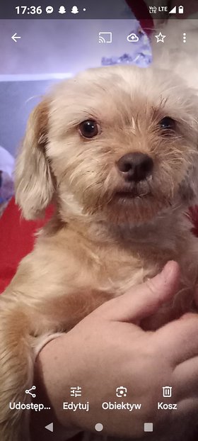 Najładniejsze zdjęcie użytkownika IwonaIwan - 