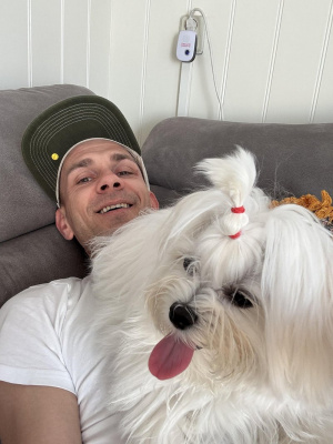 dog, hat, pet