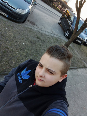 cool, vehicle, wheel, bumper