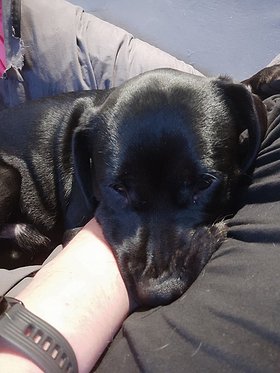 Najładniejsze zdjęcie użytkownika misiu1977 - 