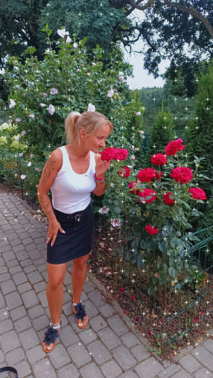 jeans, leisure, shorts, petal, garden