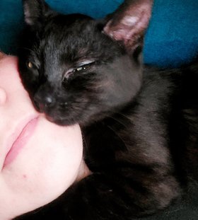 Najładniejsze zdjęcie użytkownika Bejbinka20 - 