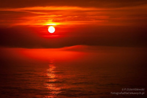 sky, event, sunset
