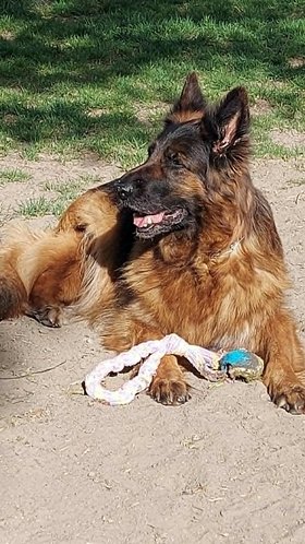 Najładniejsze zdjęcie użytkownika Andrew42 - 