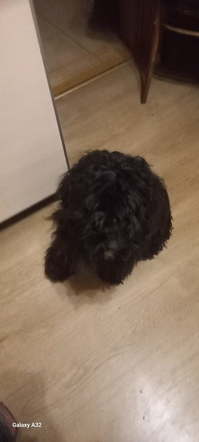 Najładniejsze zdjęcie użytkownika ToczekS - 