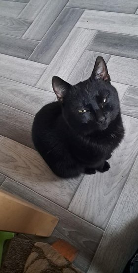 Najładniejsze zdjęcie użytkownika Lewczuk - 