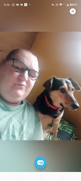 Najładniejsze zdjęcie użytkownika DzieniszWoelkeK - 