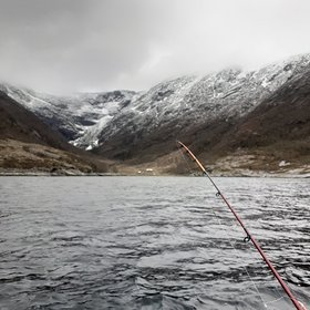 Najładniejsze zdjęcie użytkownika okuszkoj - 
