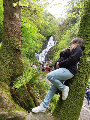 jeans, sitting, leisure, forest
