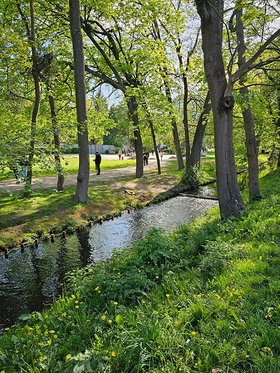 Najładniejsze zdjęcie użytkownika Anna97 - 