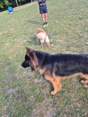 Najładniejsze zdjęcie użytkownika romandombek7778 - 