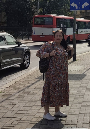 vehicle, car, bus