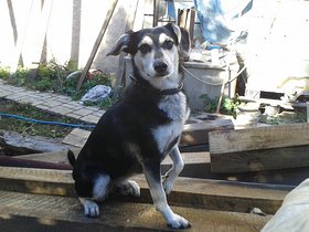 Najładniejsze zdjęcie użytkownika tomek0009wro - 