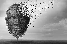 Najładniejsze zdjęcie użytkownika David11111 - 