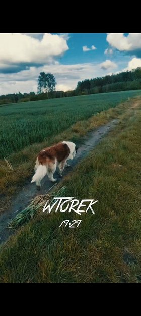 Najładniejsze zdjęcie użytkownika yJ97 - 