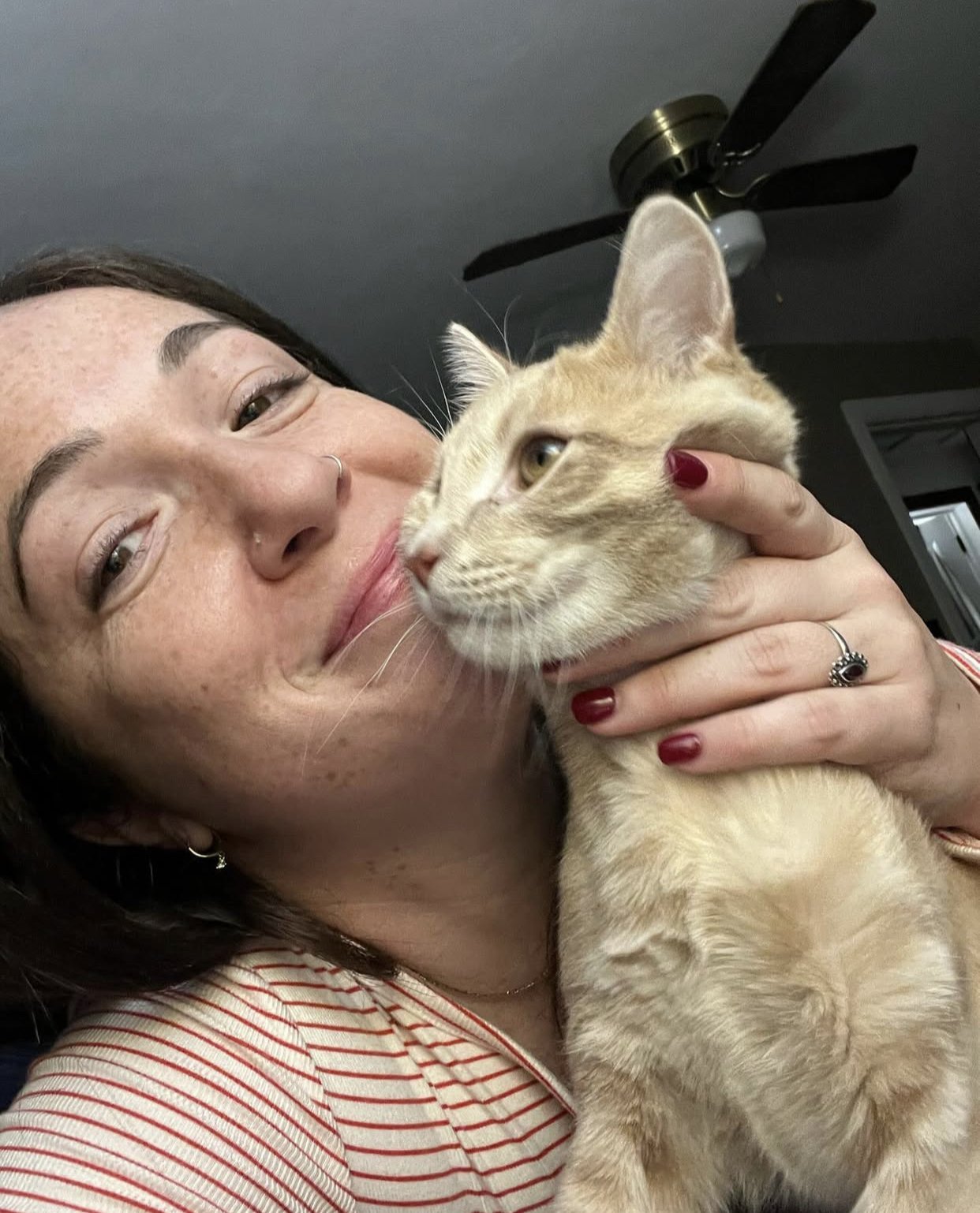 skin, ear, cat, pet