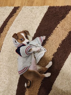 Najładniejsze zdjęcie użytkownika przem1984 - 