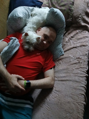 dog