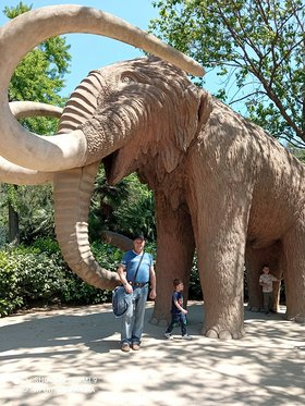 Najładniejsze zdjęcie użytkownika zbyszekqwert57 - 