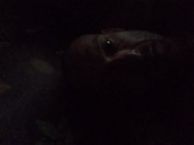 Najładniejsze zdjęcie użytkownika radekhinc015 - 